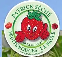 PATRICK SECHE LA BAULE